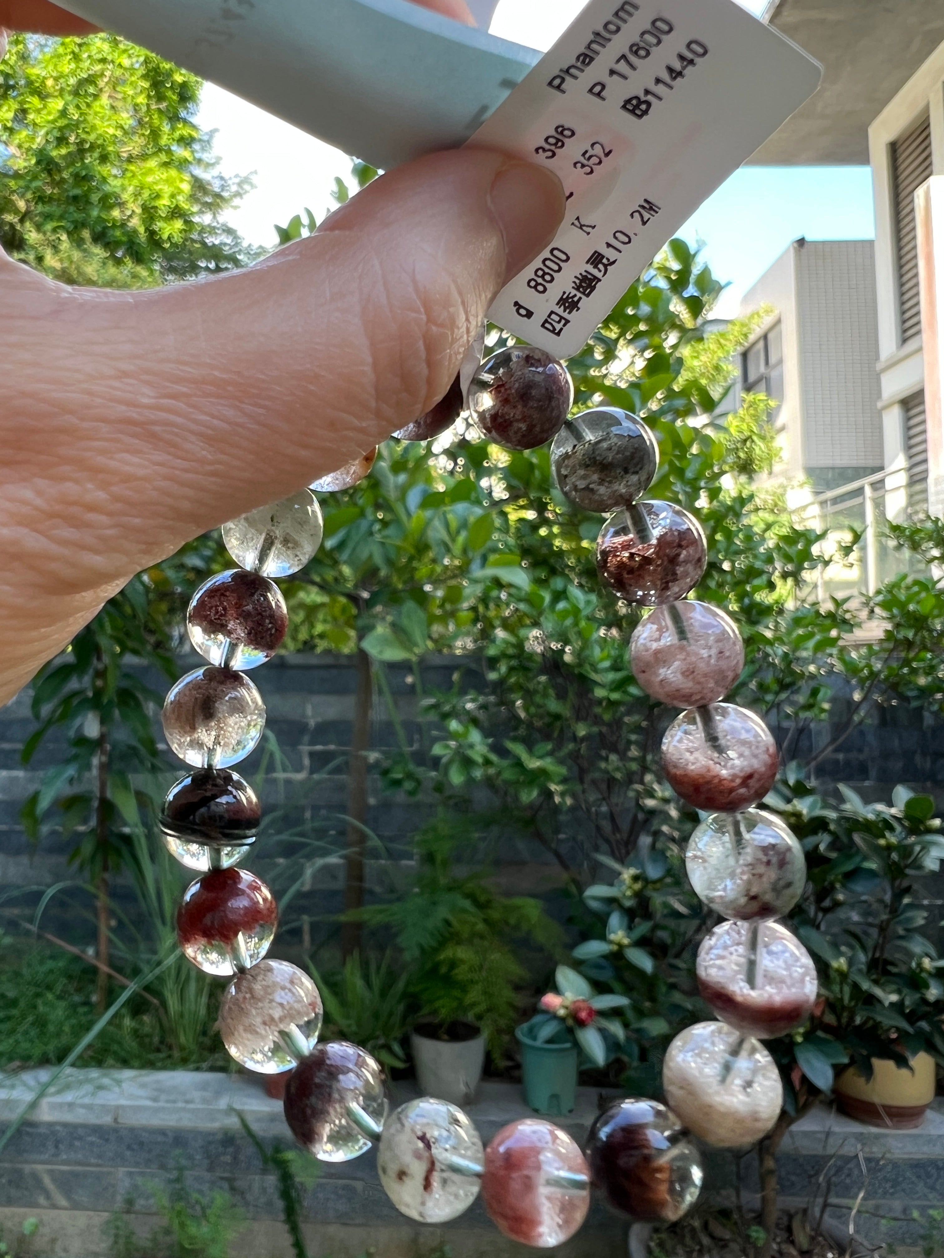 Vietnamese VIP customer live order payment link