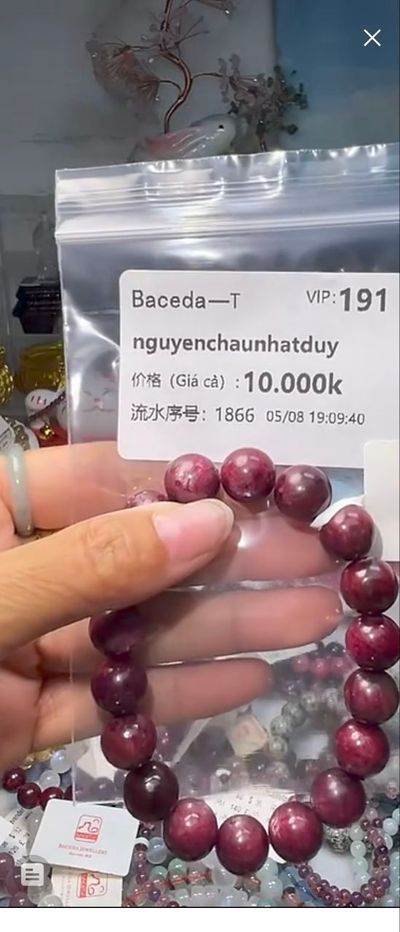 ベトナムVIP顧客向け特別支払いリンク